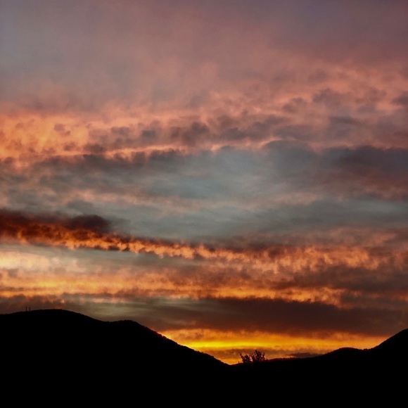 Meet your Posher, Cynthia - Picture 1 of 1